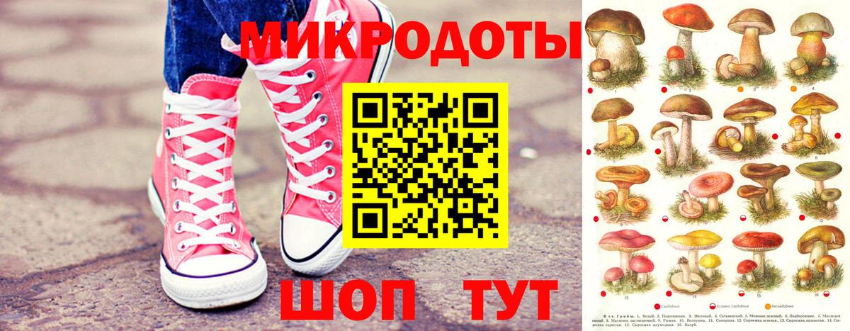 Кулебаки  Галлюциногенные грибы GOLDEN TEACHER  Вход с VPN  Галлюциногенные грибы ЛСД 